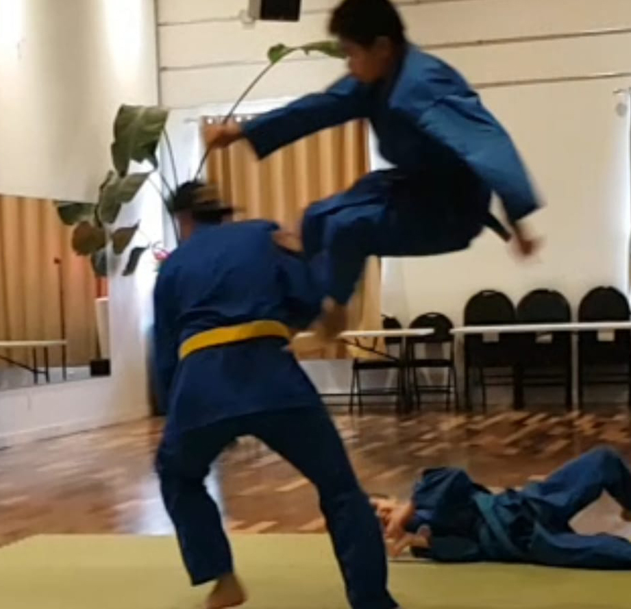 Ciseaux Don chan Vovinam